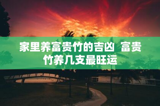 家里养富贵竹的吉凶 富贵竹养几支最旺运