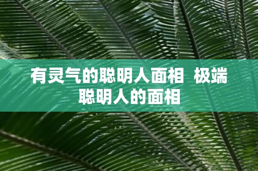 有灵气的聪明人面相 极端聪明人的面相