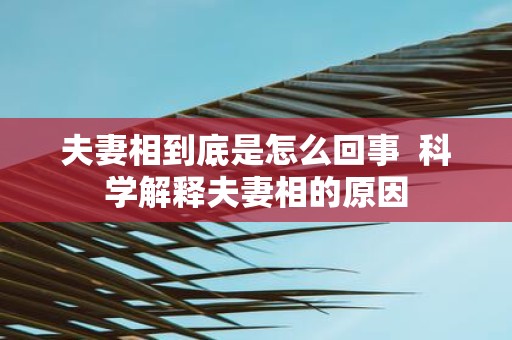 夫妻相到底是怎么回事 科学解释夫妻相的原因