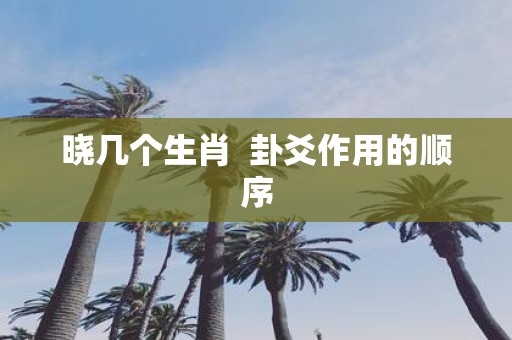 晓几个生肖 卦爻作用的顺序