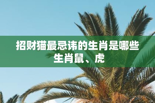 招财猫最忌讳的生肖是哪些 生肖鼠、虎