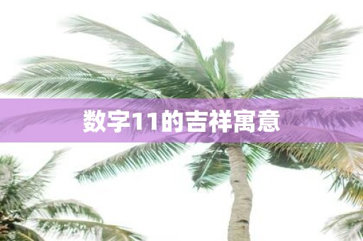 数字11的吉祥寓意