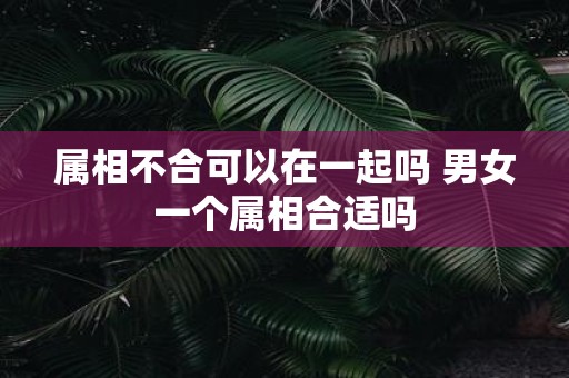 属相不合可以在一起吗 男女一个属相合适吗