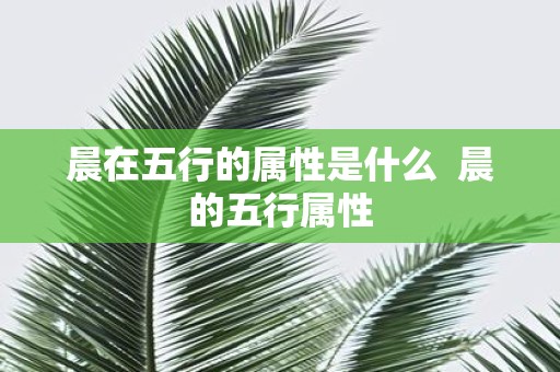 晨在五行的属性是什么 晨的五行属性