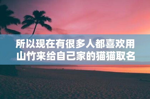 所以现在有很多人都喜欢用山竹来给自己家的猫猫取名字