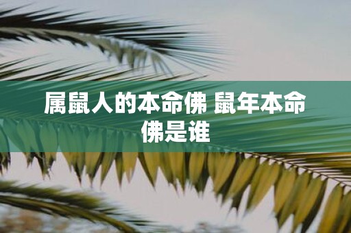 属鼠人的本命佛 鼠年本命佛是谁