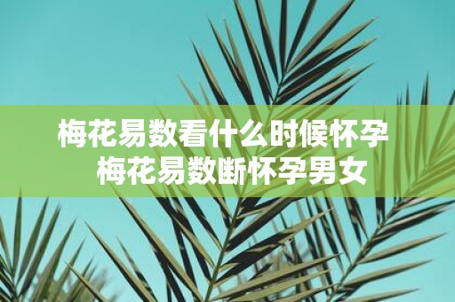 梅花易数看什么时候怀孕 梅花易数断怀孕男女