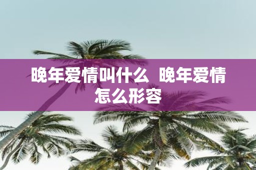 晚年爱情叫什么 晚年爱情怎么形容