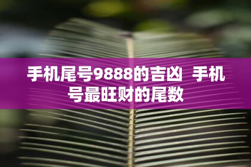 手机尾号9888的吉凶 手机号最旺财的尾数