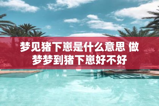 梦见猪下崽是什么意思 做梦梦到猪下崽好不好