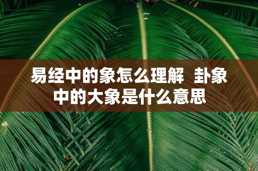 易经中的象怎么理解 卦象中的大象是什么意思