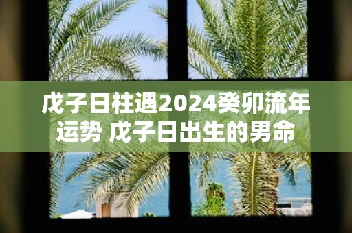 戊子日柱遇2025癸卯流年运势 戊子日出生的男命