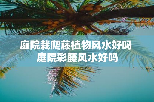 庭院栽爬藤植物风水好吗 庭院彩藤风水好吗