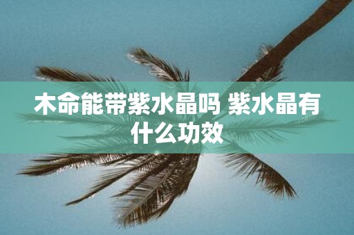 木命能带紫水晶吗 紫水晶有什么功效