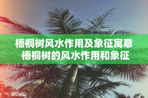 梧桐树风水作用及象征寓意 梧桐树的风水作用和象征意义是什么