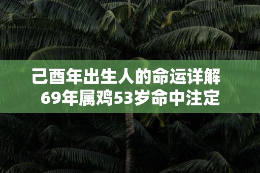 己酉年出生人的命运详解 69年属鸡53岁命中注定