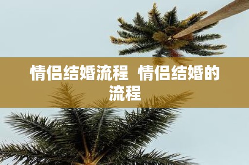 情侣结婚流程 情侣结婚的流程