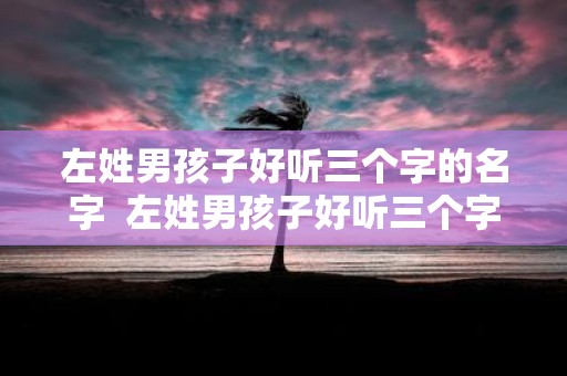 左姓男孩子好听三个字的名字 左姓男孩子好听三个字的名字