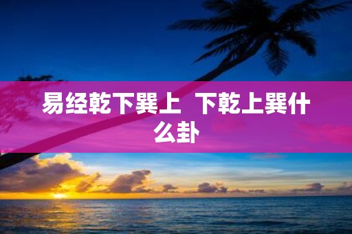 易经乾下巽上  下乾上巽什么卦
