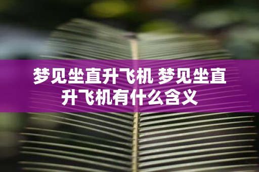 梦见坐直升飞机 梦见坐直升飞机有什么含义