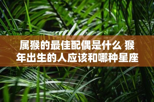 属猴的最佳配偶是什么 猴年出生的人应该和哪种星座结婚