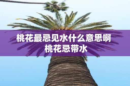 桃花最忌见水什么意思啊 桃花忌带水