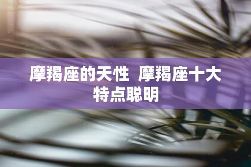 摩羯座的天性 摩羯座十大特点聪明