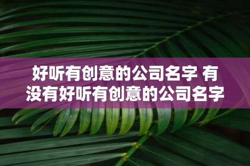 好听有创意的公司名字 有没有好听有创意的公司名字