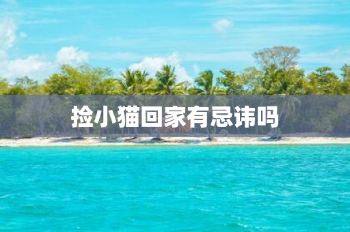 捡小猫回家有忌讳吗