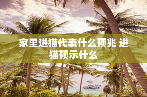 家里进猫代表什么预兆 进猫预示什么