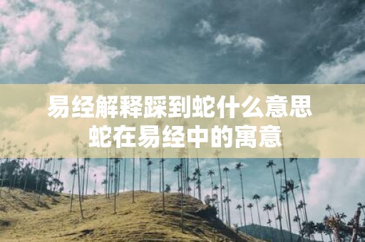 易经解释踩到蛇什么意思 蛇在易经中的寓意