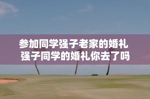 参加同学强子老家的婚礼 强子同学的婚礼你去了吗