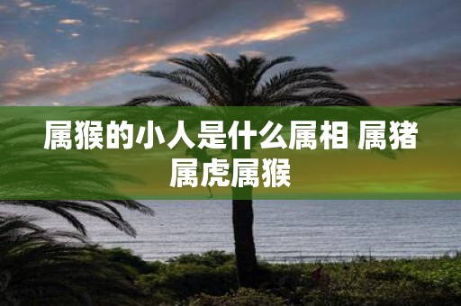 属猴的小人是什么属相 属猪属虎属猴