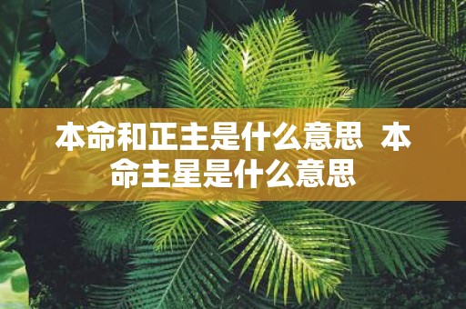 本命和正主是什么意思 本命主星是什么意思