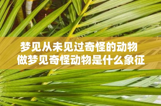 梦见从未见过奇怪的动物 做梦见奇怪动物是什么象征
