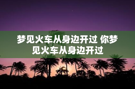 梦见火车从身边开过 你梦见火车从身边开过