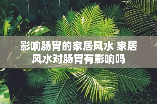 影响肠胃的家居风水 家居风水对肠胃有影响吗
