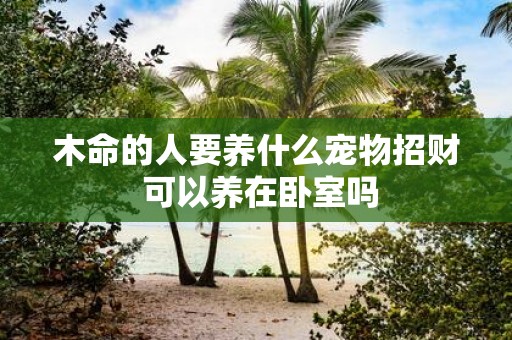木命的人要养什么宠物招财 可以养在卧室吗