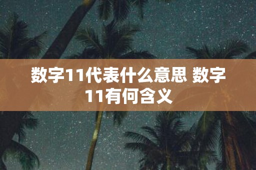 数字11代表什么意思 数字11有何含义