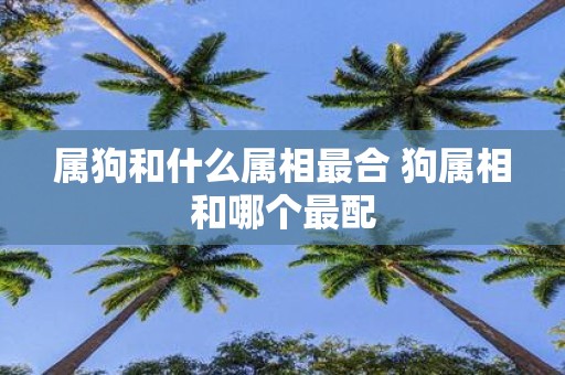 属狗和什么属相最合 狗属相和哪个最配