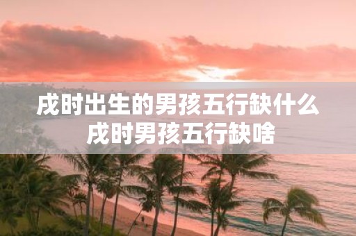 戌时出生的男孩五行缺什么 戌时男孩五行缺啥