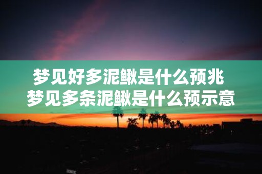 梦见好多泥鳅是什么预兆 梦见多条泥鳅是什么预示意义