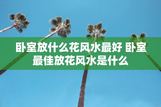 卧室放什么花风水最好 卧室最佳放花风水是什么