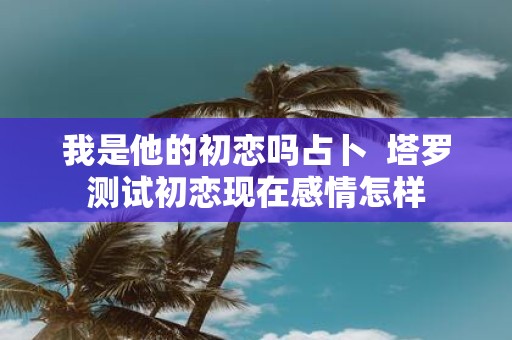 我是他的初恋吗占卜 塔罗测试初恋现在感情怎样