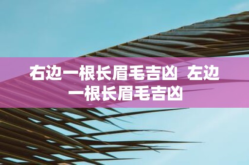 右边一根长眉毛吉凶 左边一根长眉毛吉凶