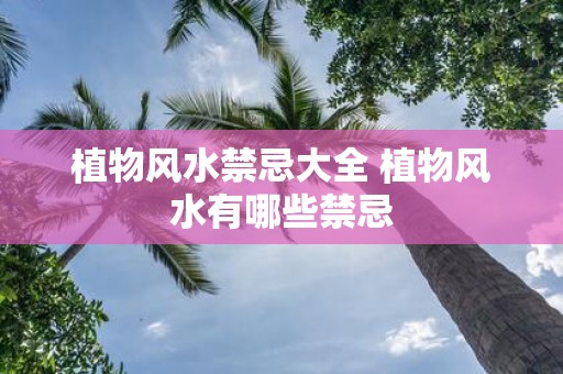植物风水禁忌大全 植物风水有哪些禁忌