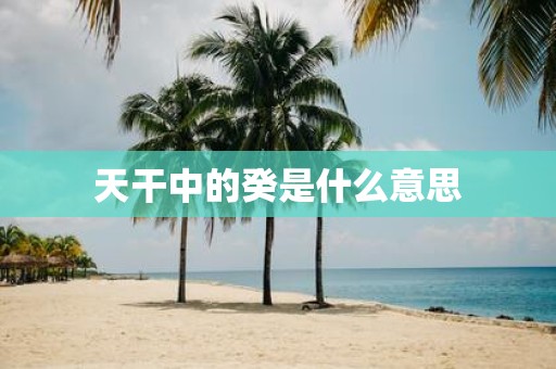 天干中的癸是什么意思