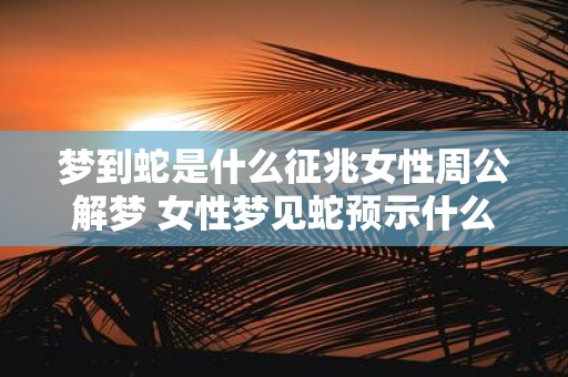 梦到蛇是什么征兆女性周公解梦 女性梦见蛇预示什么