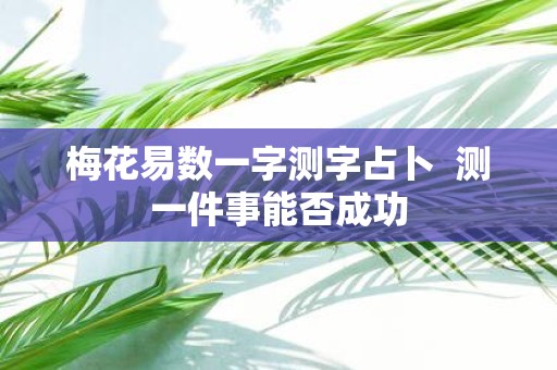 梅花易数一字测字占卜 测一件事能否成功
