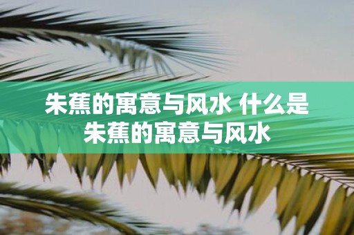 朱蕉的寓意与风水 什么是朱蕉的寓意与风水